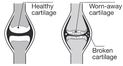 leaflet image 19 - Leaflet image 19